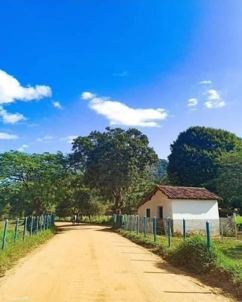  guru-in-belondekhar Others