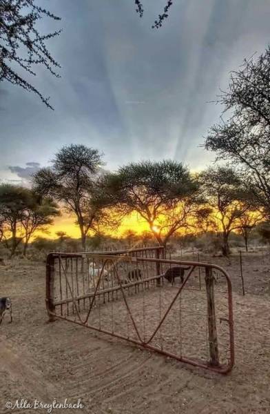  guru-in-belondekhar Others