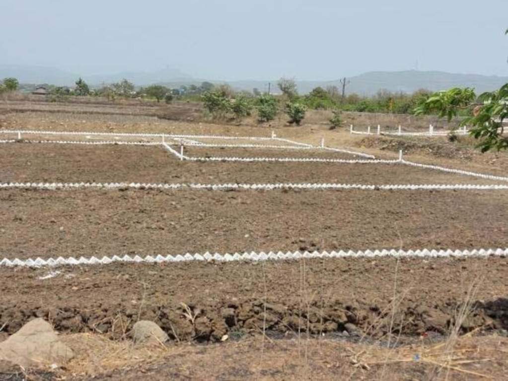  guru in belondekhar Plot