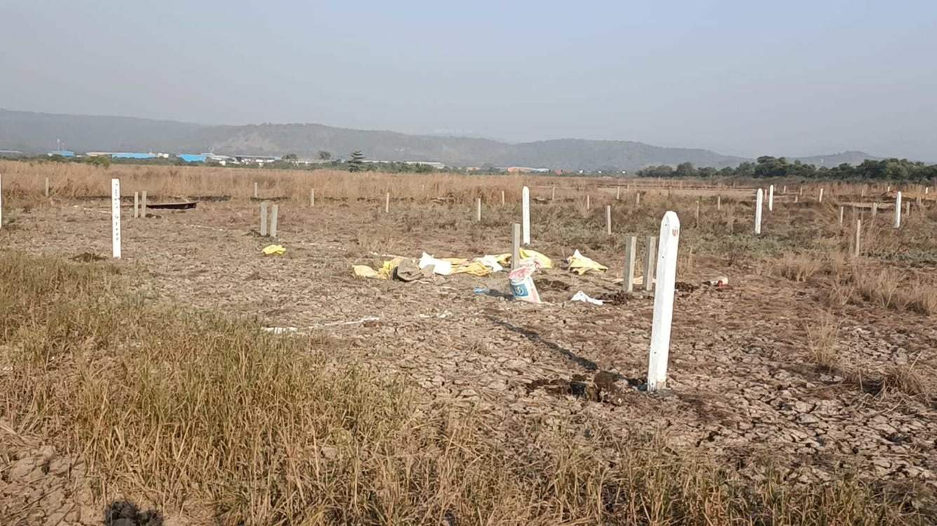  guru in belondekhar Plot