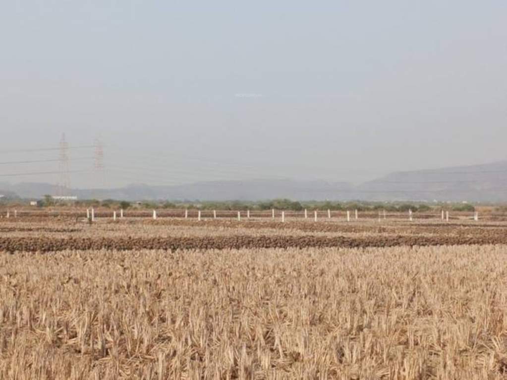  guru in belondekhar Plot