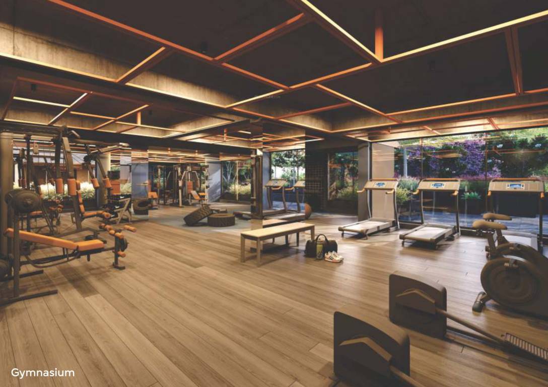  maitri elevate Gymnasium