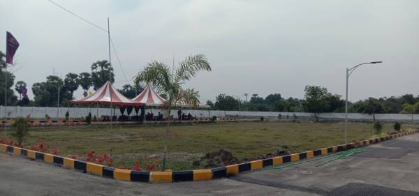  shobha-blossoms Plot