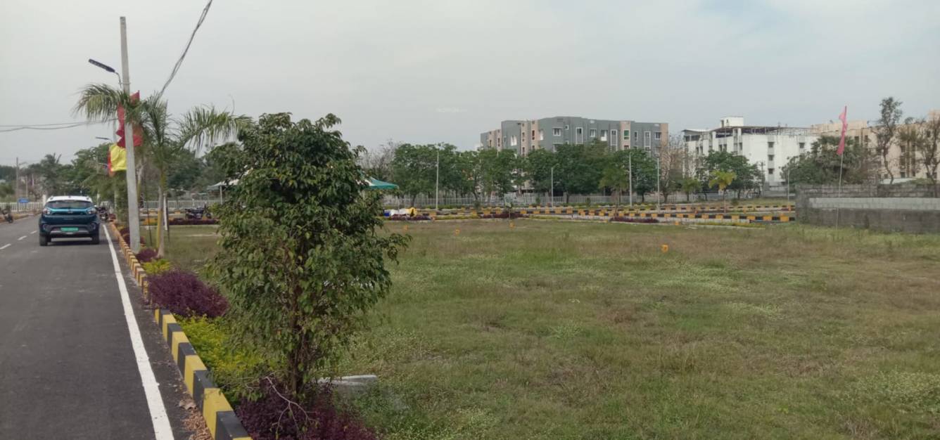  shobha blossoms Plot