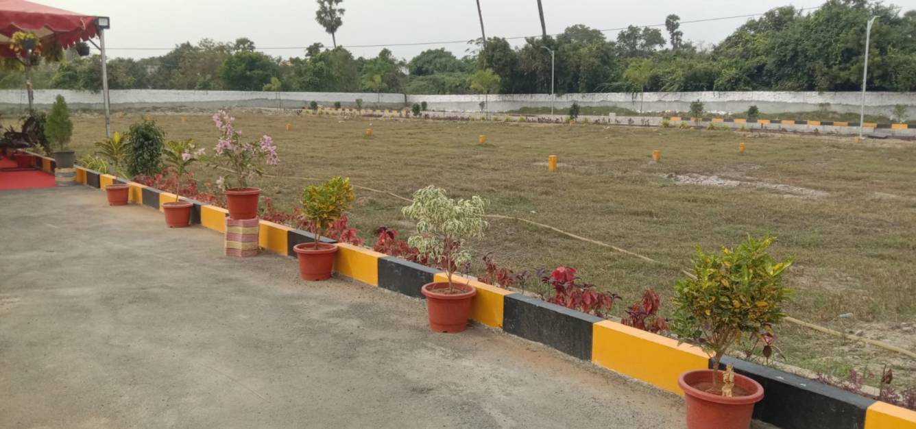  shobha blossoms Plot