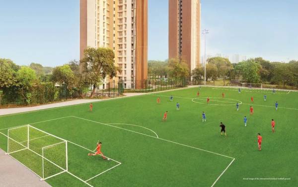  upper-thane-iris-wing-g Others