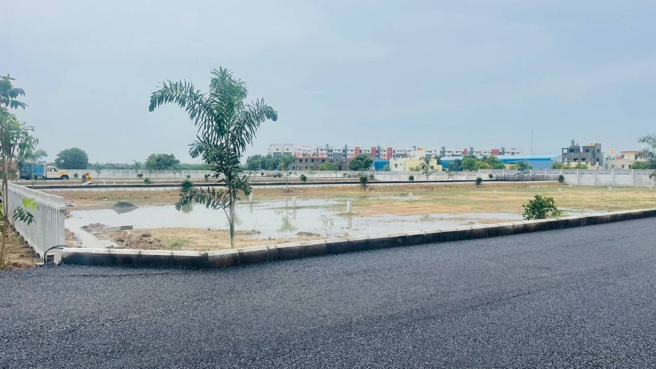  taasa serasa destiny phase i Plot