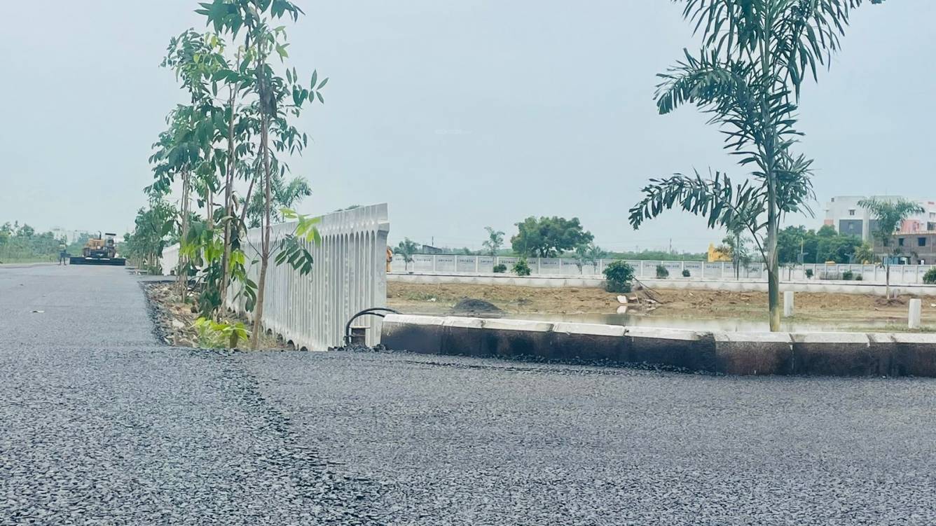  taasa serasa destiny phase i Plot