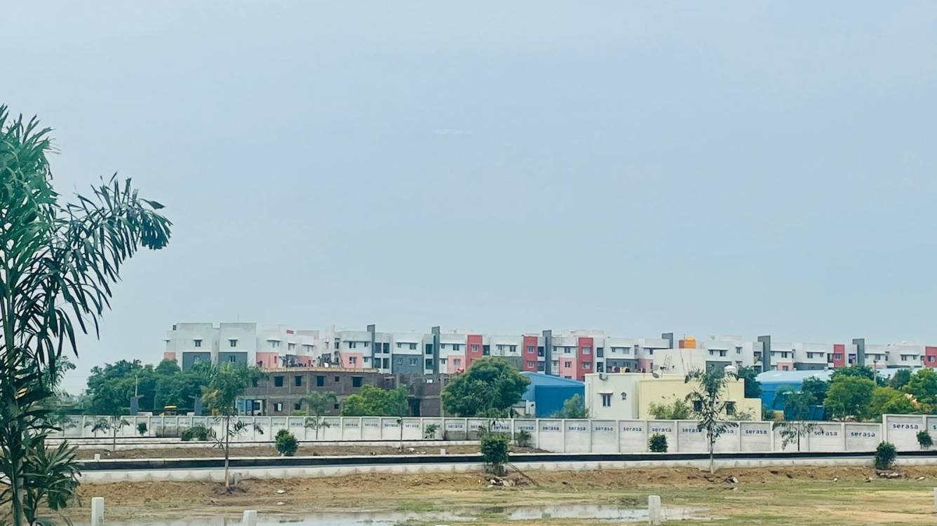  taasa serasa destiny phase i Plot