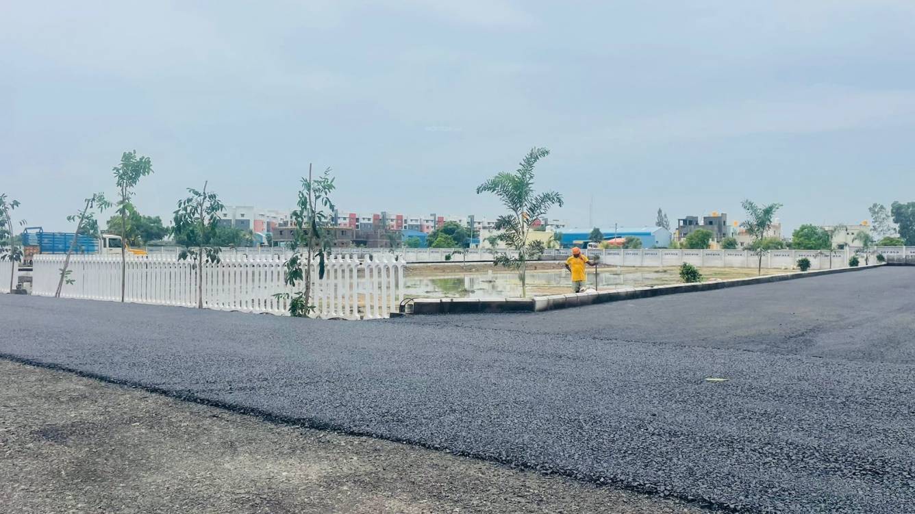  taasa serasa destiny phase i Plot