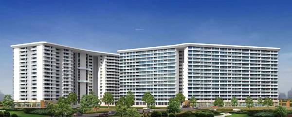  palm-amore Elevation