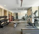  the-elegant Gymnasium