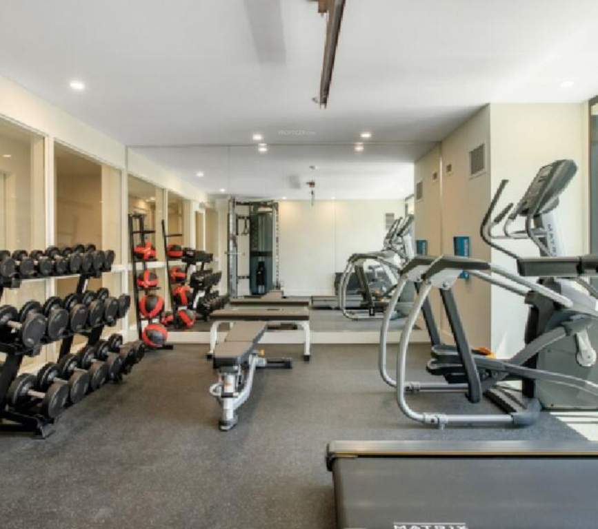  the elegant Gymnasium