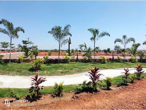  celebrity-hill-view Landscape Garden and Tree Planting