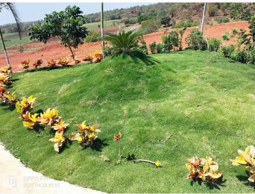  celebrity-hill-view Landscape Garden and Tree Planting