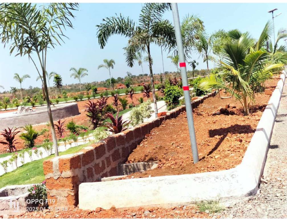  celebrity hill view Plot