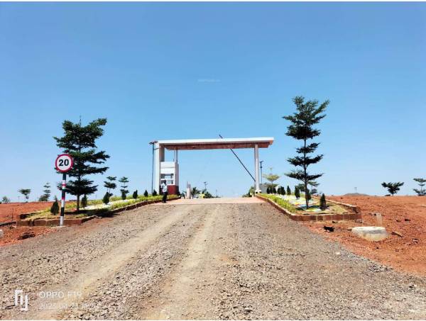  celebrity-hill-view Plot