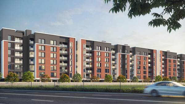  grace-pallacio Elevation