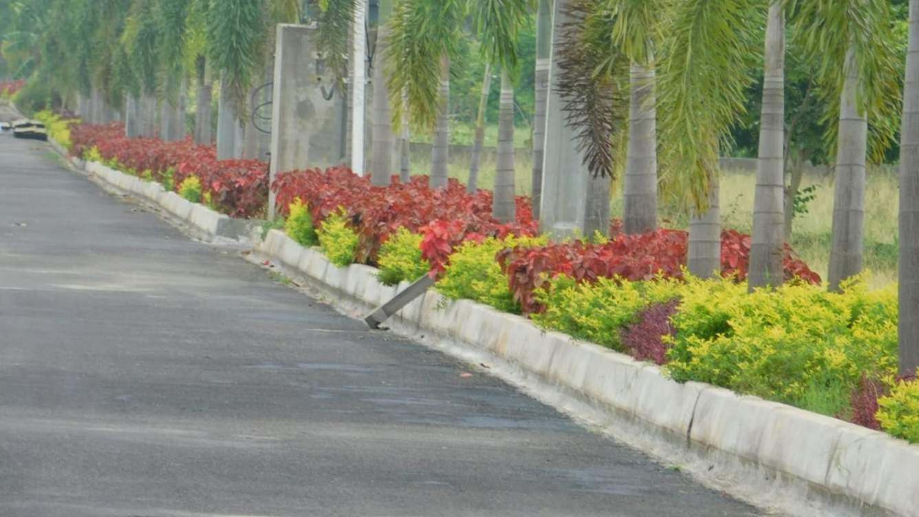 orange county Landscape Garden and Tree Planting