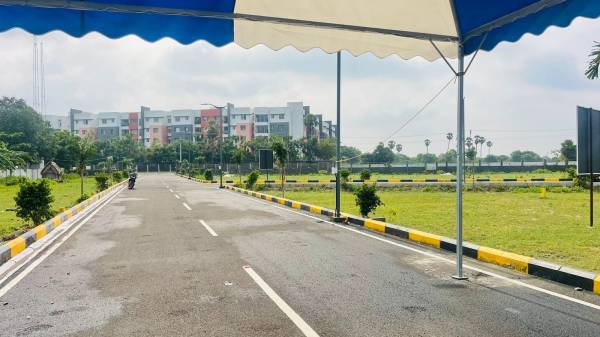  taasa-serasa-fortune-phase-ii Plot