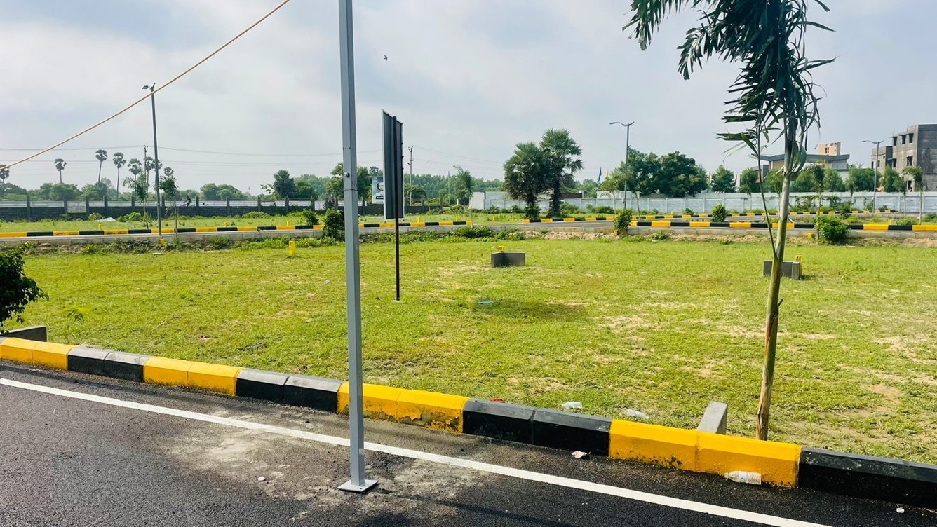  taasa serasa fortune phase ii Plot