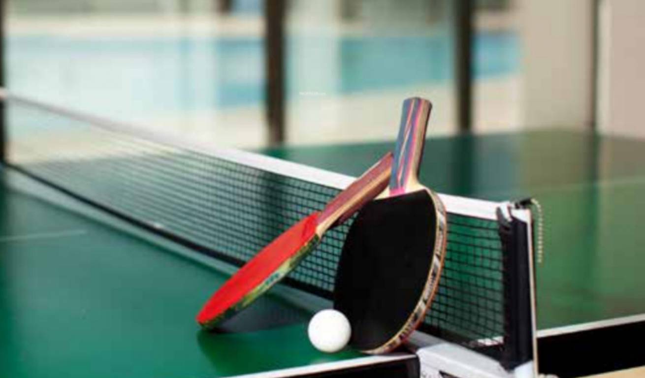  ananda phase iii Indoor Games