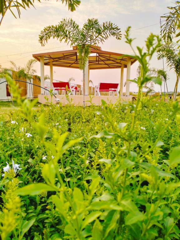 atlantis phase ii c2 Garbage Disposal