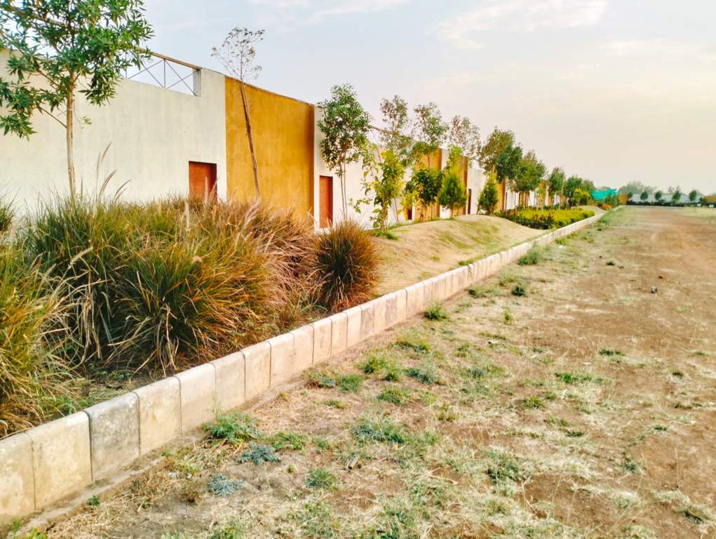 atlantis phase ii c2 Landscape Garden and Tree Planting