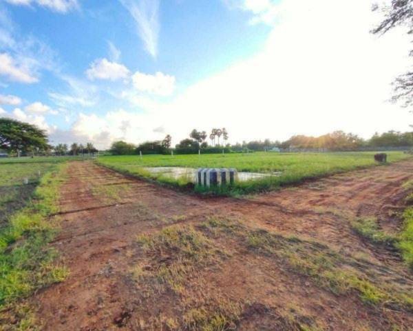  sri-alagar-nandavanam Elevation