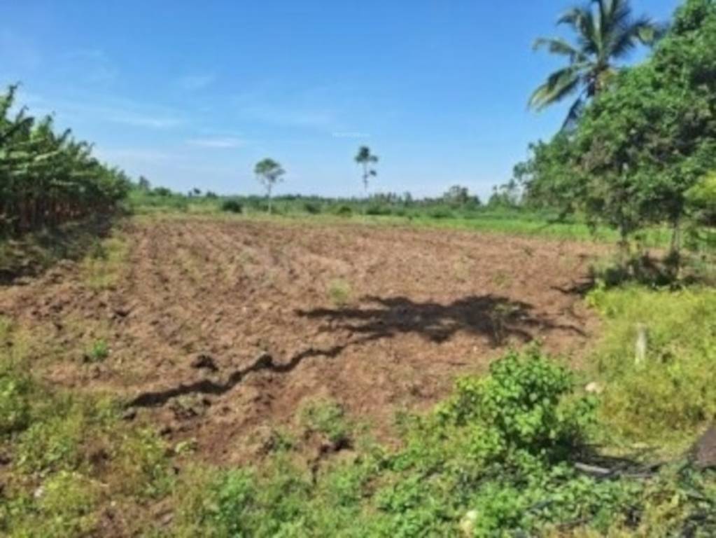  sri alagar nandavanam Plot