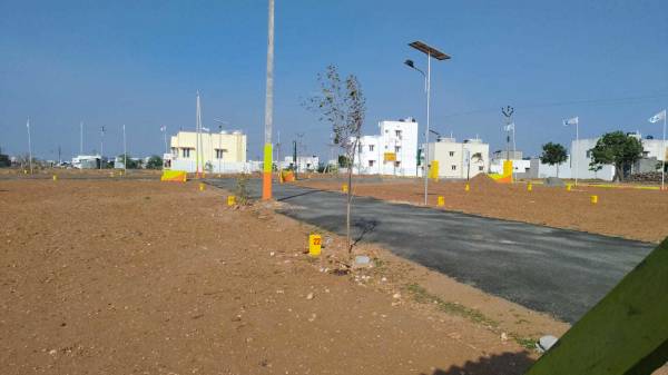  elite-avenue Elevation