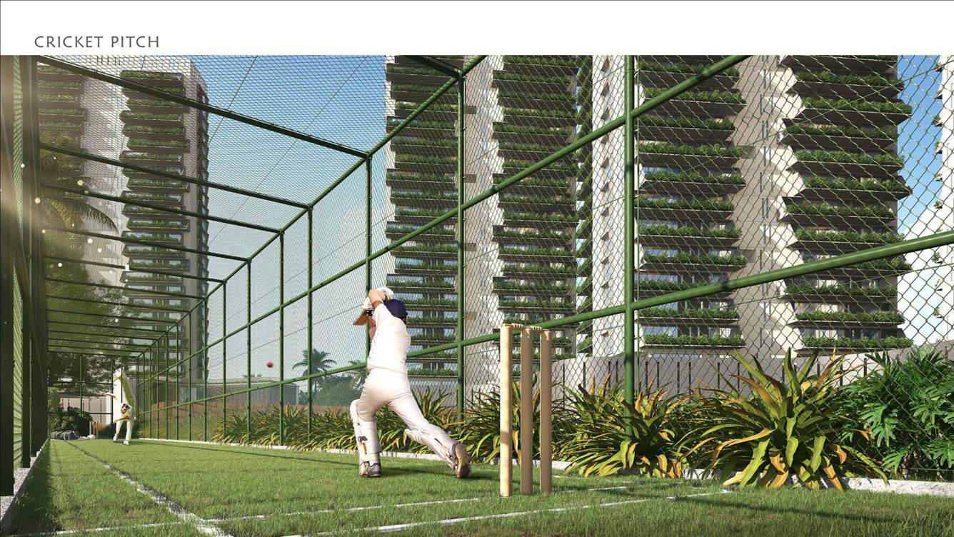  beaumonde phase ii Others