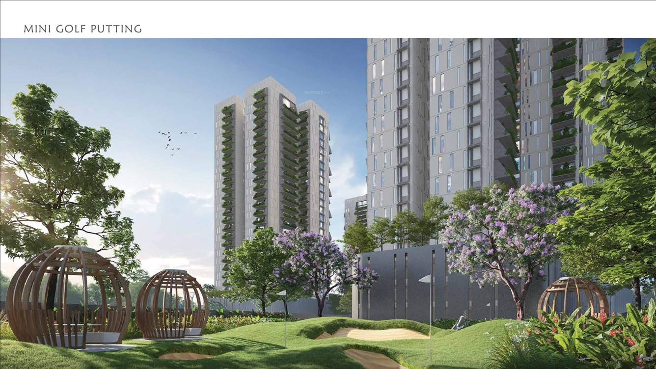  beaumonde phase ii Others