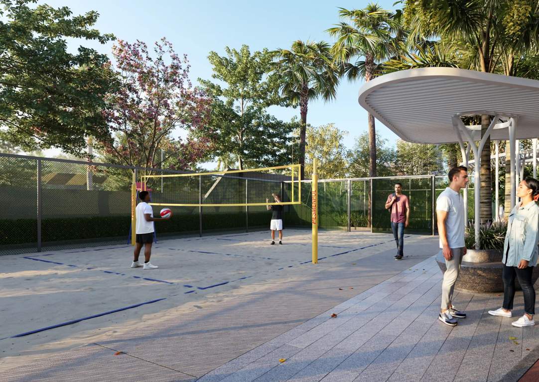  the pinnacle Volleyball Court