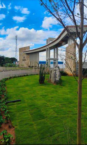  arcadia-aerocity Plot