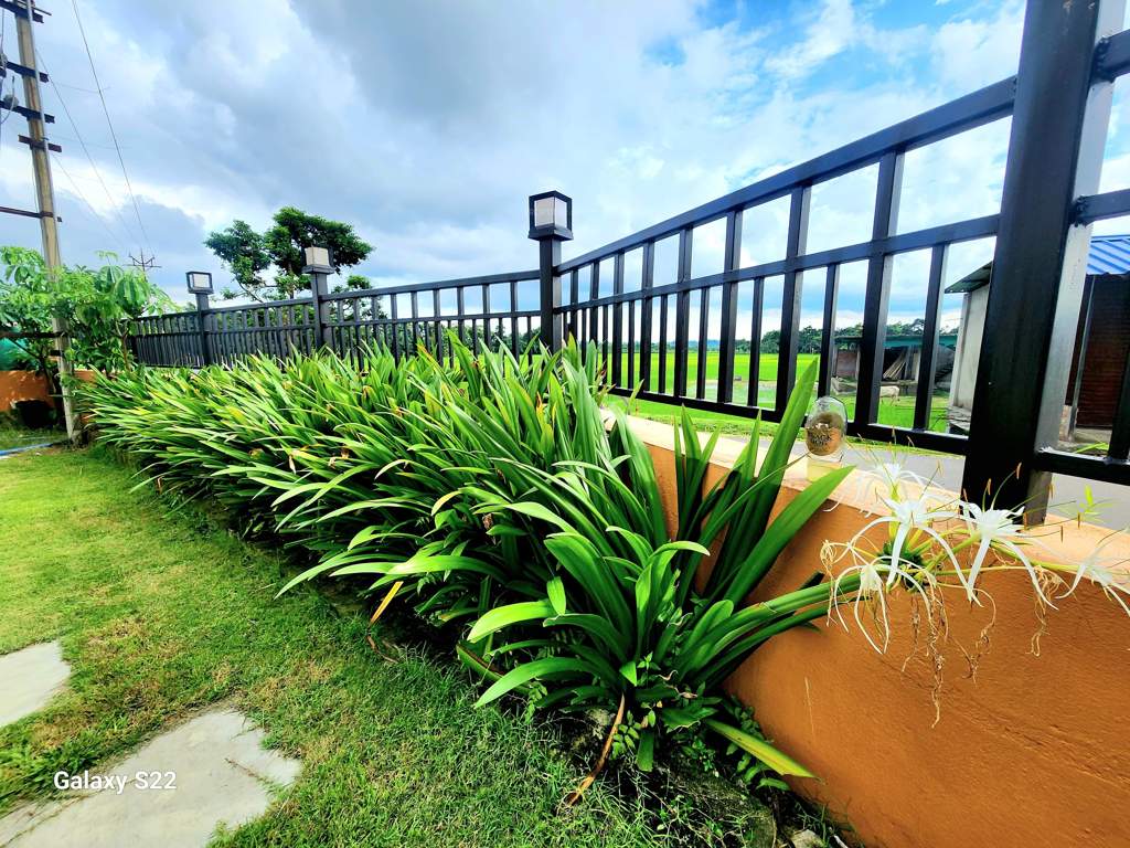 sree balaji panthaniwas dooars Others