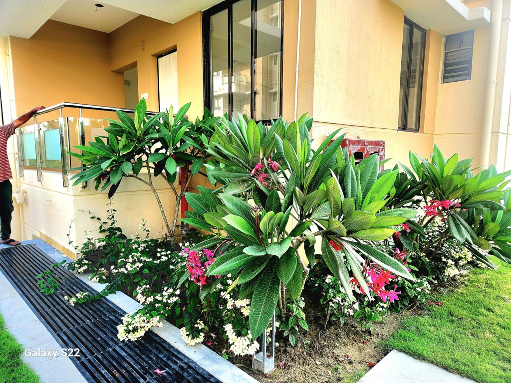 sree balaji panthaniwas dooars Others