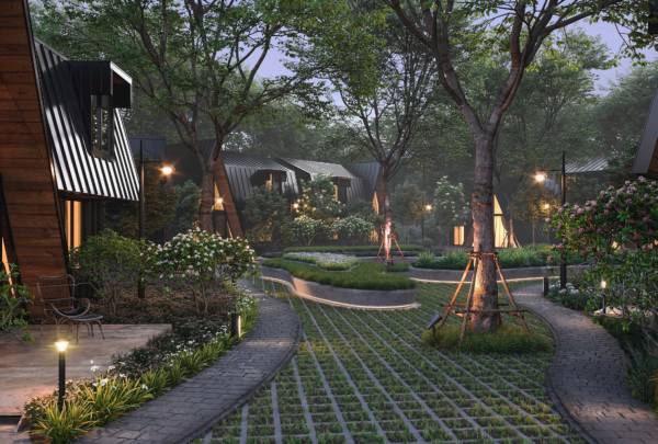  butterfly-trails Others