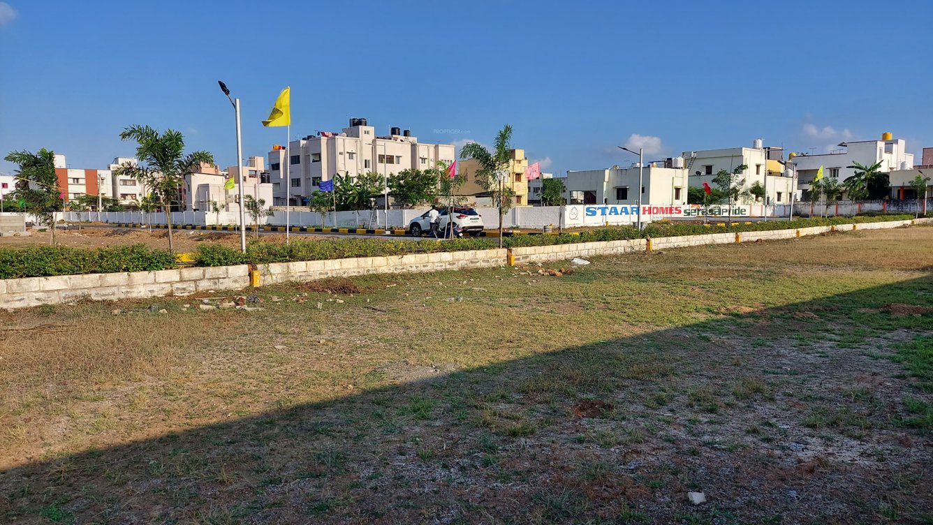  serasa pride phase iii Plot