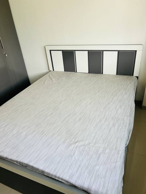  dream shelter Bedroom