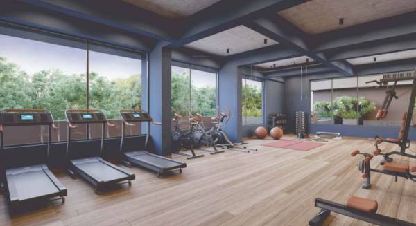  shalin-prima Gymnasium