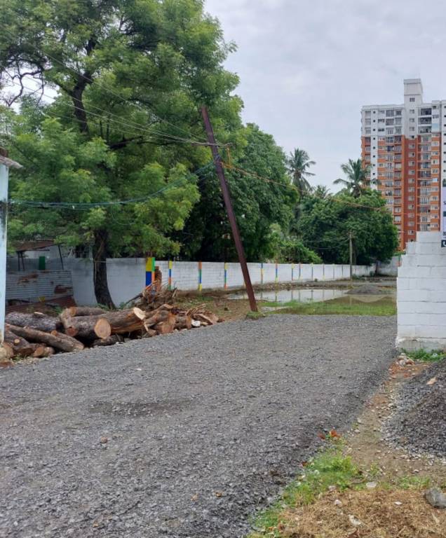  sunshine paradise Plot