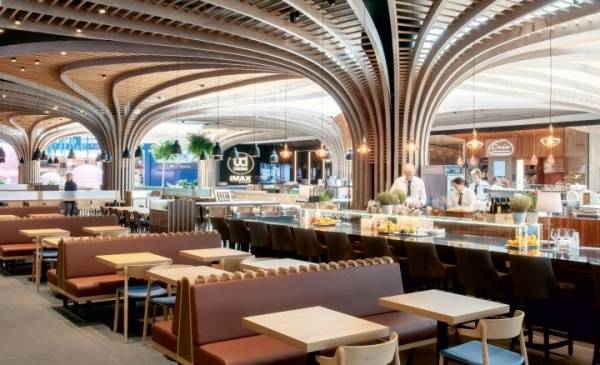  the-wing-phase-1 Others