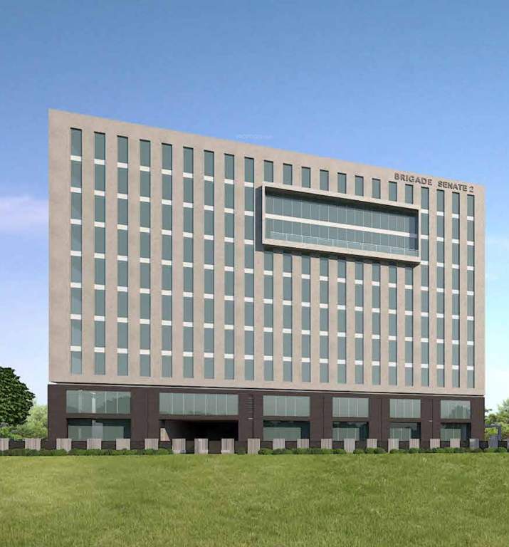  senate 1 wing 2 Elevation