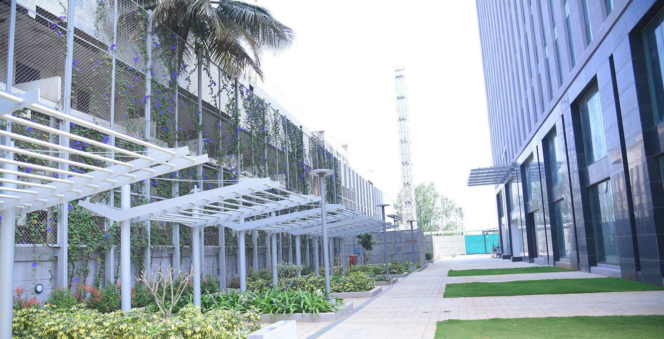  senate 1 wing 2 Others