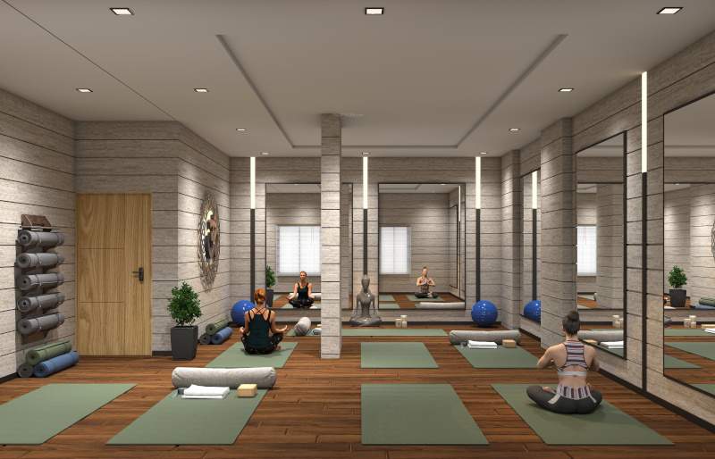  sanelite Yoga/Meditation Area