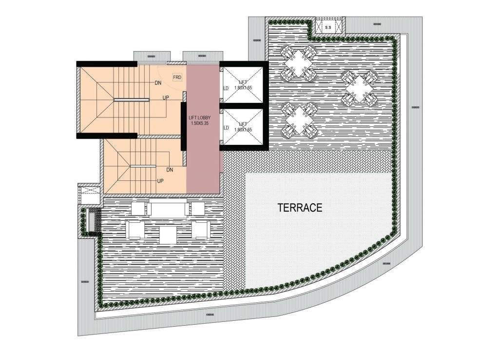  platina Platina Cluster Plan for Terrace Floor