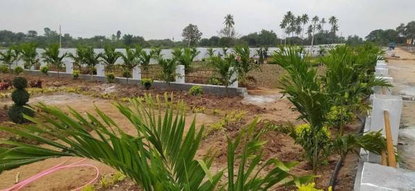  east-green-county Plot