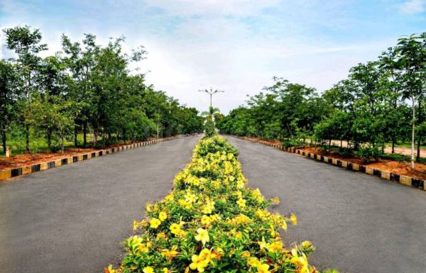  east-green-county Plot