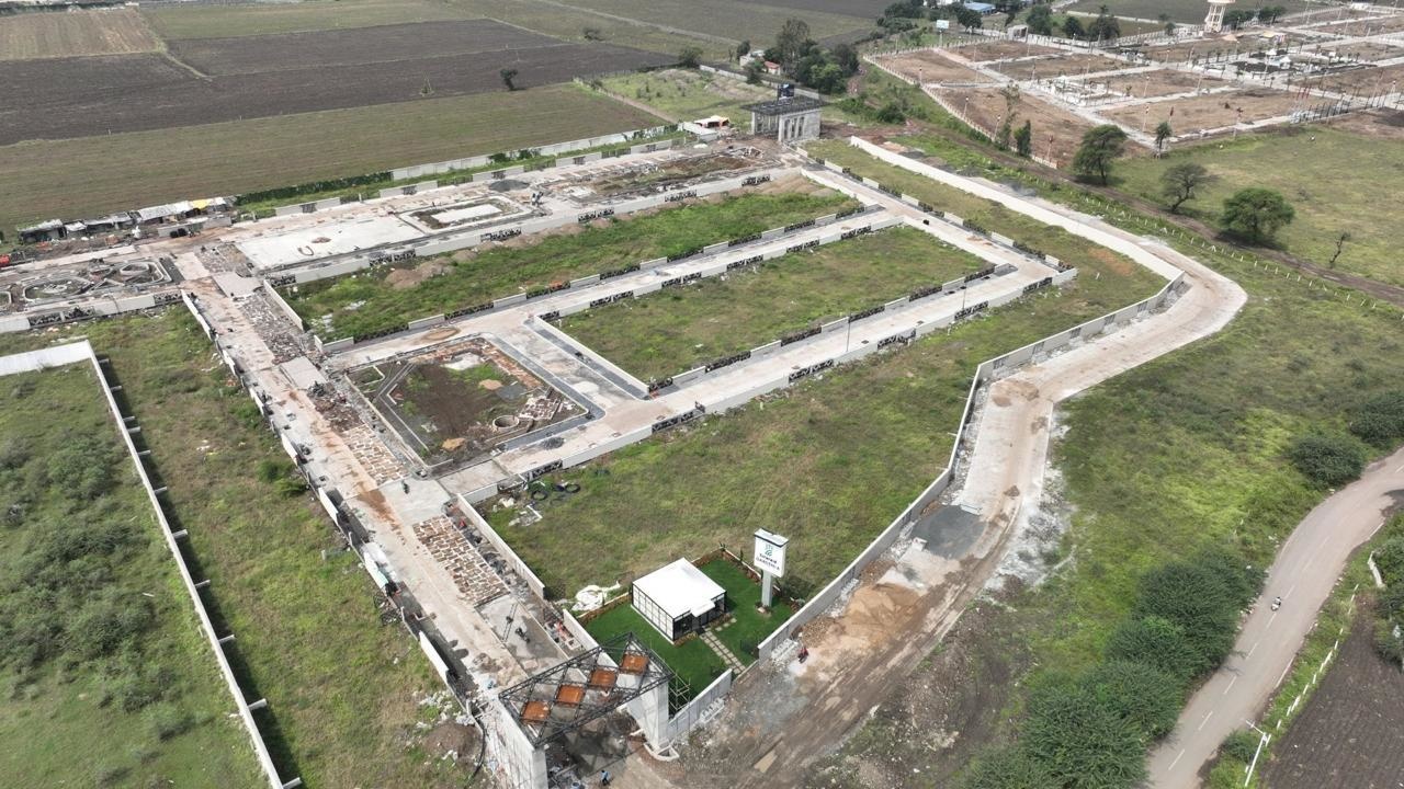  emerald gardenia Plot